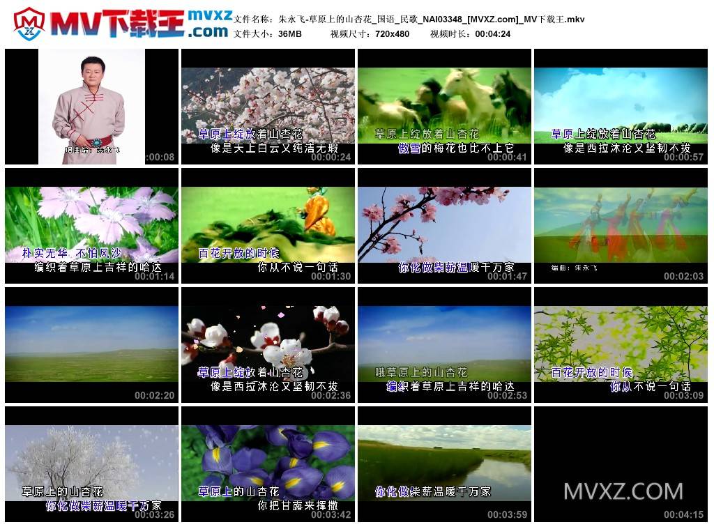 朱永飞-草原上的山杏花_国语_民歌_NAI03348